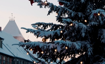 Weihnachtsbaum