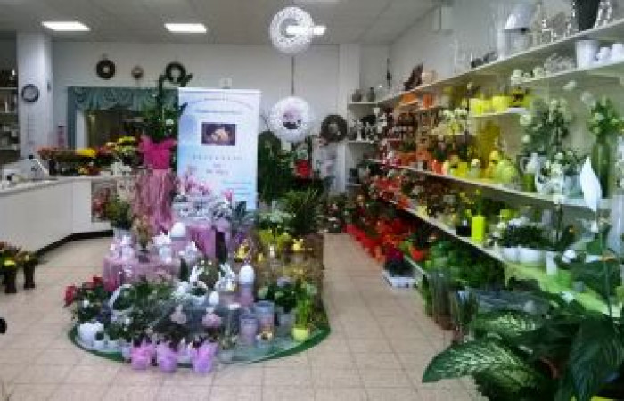 Blumenladen Plau