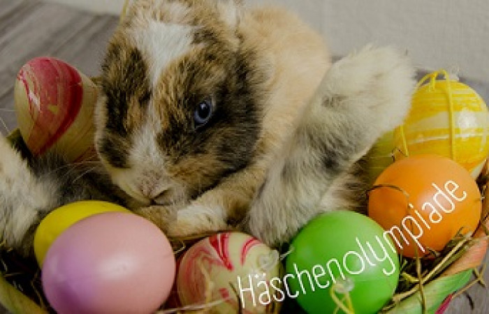HaeschenOlympiade Ostern
