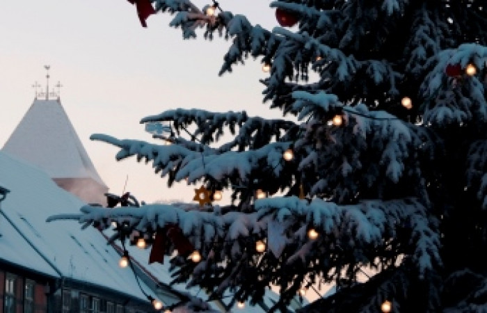 Weihnachtsbaum